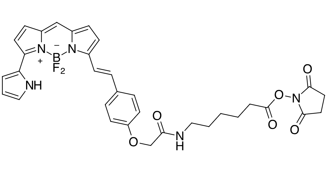 BODIPY 650/665 X NHS ester