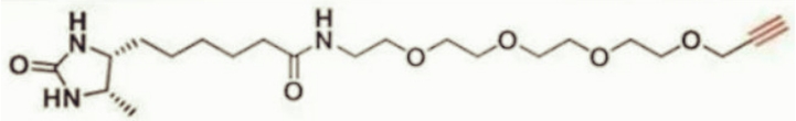 Desthiobiotin-peg4-alkyne 