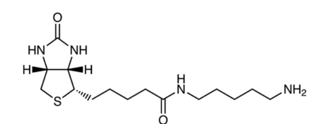 Biotin-C5-Amine