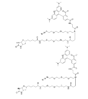  1797415-74-7 	TAMRA-Azide-PEG-Biotin      四甲基羅丹明-疊氮-PEG-生物素	