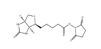 35013-72-0     Biotin NHS	生物素N-羥基琥珀酰亞胺酯 