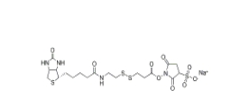 325143-98-4        Sulfo-NHS-SS-biotin，Sulfo-NHS-SS-Biotin sodium	        生物素-二硫鍵-磺酸-琥珀酰亞胺酯	