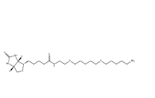  663171-32-2，Biotin-PEG6-NH2，小分子PEG