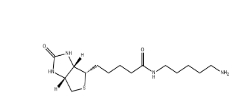 115416-38-1，Biotin-Amine，生物素氨基