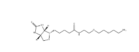 138529-46-1          Biotin-PEG2-NH2/生物素二聚乙二醇氨基		