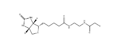 216393-53-2          Biotin-NHCO-C1-I	生物素-NHCO-C1-碘	