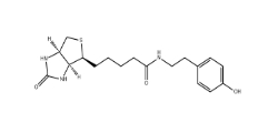 41994-02-9           生物素基酪氨酰胺	Biotinyl Tyramide	