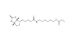 cas:93285-75-7	  Iodoacetyl-LC-Biotin           