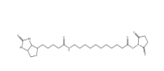 1260092-37-2         Biotin-SLC-NHS Ester		