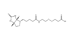 [CAS 104582-29-8]	         3-[2-N-(Biotinyl)aminoethyldithio]propanoic Acid             3-[2-N-(生物素基)氨基乙基二硫基]丙酸