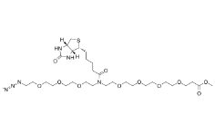 2100306-76-9             N-(Azido-PEG3)-N-Biotin-PEG4-methyl ester	       N-(疊氮-三聚乙二醇)-N-生物素-四聚乙二醇-甲酯	