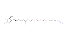 1309649-57-7      生物素-PEG4-疊氮	Biotin-PEG4-Azide	