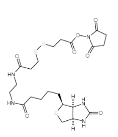 142439-92-7           NHS-SS-(+)-Biotin		