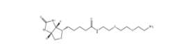 CAS號：138529-46-1;Biotin-PEG2-NH2;N-生物素-3,6-二氧辛烷-1,