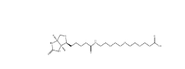 CAS號(hào)：252881-76-8 ；Biotin-PEG3-COOH ；Biotin-PEG3-prop