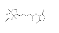 35013-72-0,Biotin-NHS,生物素-琥珀酰亞胺