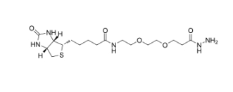 （+）-Biotin-PEG2-Hydrazide；（+）-生物素-PEG2-酰肼