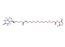 459426-22-3；（+）-Biotin-PEG4-NHS Ester；生物素-四聚乙二醇-NHS 酯