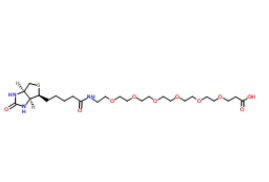 1352814-10-8；（+）-Biotin-PEG6-CH2CH2COOH；生物素六聚乙二醇羧乙基