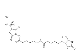 127062-22-0，Sulfo NHS LC Biotin，生物素酰氨基己酸-3-磺酸基-N-羥基琥珀酰亞胺酯	