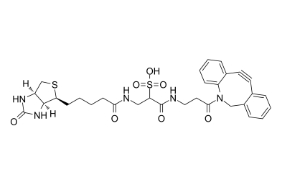 1363444-70-5；DBCO-Sulfo-link-biotin；二苯并環辛炔- 水溶性-連接生物素