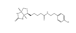 41994-02-9；Biotinyl tyramide；生物素基酪氨酰胺	