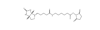 72040-63-2          生物素化-epsilon-氨基己酸-N-羥基丁二酰亞胺活化酯	Succinimidyl 6-(biotinamido)hexanoate	