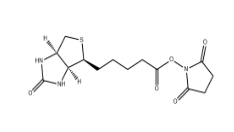 CAS號:35013-72-0；(+)生物素-N-琥珀酰亞胺基酯；Biotin NHS