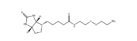 CAS號:128915-82-2；生物素半胱胺；Biotinyl Cystamine