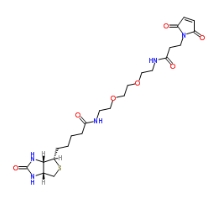 305372-39-8；Biotin-PEG2-amido-Mal；物素-二聚乙二醇-酰胺-馬來酰亞胺	