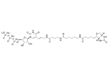 186033-13-6；生物素-16-UTP；5-(N-[N-Biotinyl-ω-aminocaproyl-γ-aminobutyryl]-3-aminoallyl)uridine 5′-triphosphate	