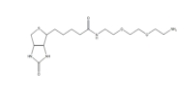 Biotin-PEG-Amine，Biotin-PEG-NH2 ；生物素PEG氨基