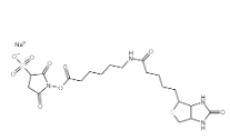 191671-46-2，Biotinamidohexanoic acid 3-sulfo-N-hydroxysuccinimide ester sodium salt