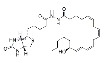 15(S)-HETE-biotin