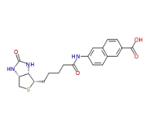 1217755-61-7，N-Biotinyl-6-amino-2-naphthoic Acid