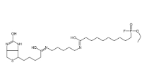 [CAS 259270-28-5]，FP-Biotin 