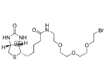 [CAS 1041766-91-9]，1-Biotinylamino-3,6,9-trioxaundecane-11-bromide 