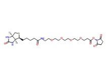 [CAS 459426-22-3]，15-Biotinlamino-4,7,10,13-Dioxanonanoic Acid N-Hydroxysuccinimidyl Ester 