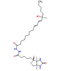 [CAS 1176496-97-1]，13(S)-HODE-biotin 