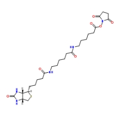  [CAS 89889-52-1]，Biotin-LC-LC-NHS，生物素-LC-LC-琥珀酰亞胺酯