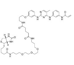 [CAS 1202758-21-1]，CNX-500 