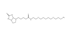 Biotin-PEG3-oxyamine、1786206-22-1、生物素-PEG3-氧胺鹽酸鹽