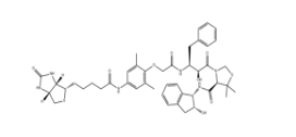 KNI-1293 Biotin、2071715-99-4、KNI-1293生物素