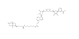 Biotin-NAD+、146385-37-7、生物素-NAD +