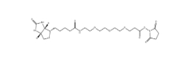 Biotin-PEG3-NHS ester、1253286-56-4、生物素三聚乙二醇琥珀酰亞胺酯