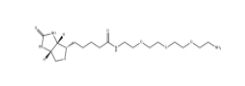 Amine-PEG3-Biotin	、359860-27-8、生物素-PEG3-胺