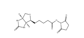 D-生物素 N-羥基琥珀酰亞胺酯、 35013-72-0、D-Biotin N-Succinimidyl Ester