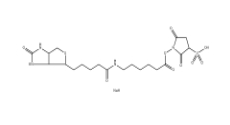 Sulfosuccinimidyl 6-(biotinamido)hexanoate 、127062-22-0、生物素酰氨基己酸-3-磺酸基-N-羥基琥珀酰亞胺酯