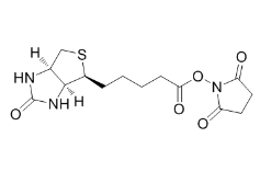 Biotin NHS；35013-72-0；生物素N-羥基琥珀酰亞胺酯 