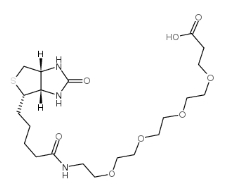 (+)-Biotin-PEG4-acid	721431-18-1	    15-[D-(+)-生物素氨基]-4,7,10,13-四氧雜十五烷酸